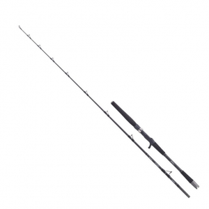 Спиннинг морской Balzer 71 NORTH BOAT 35