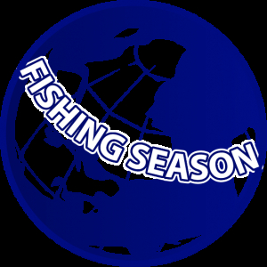 Катушка Daiwa TD Zillion Coastal 100HSLA